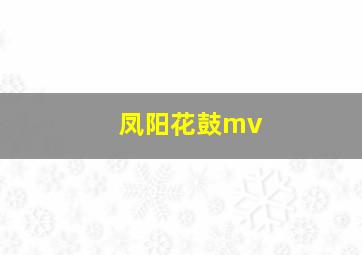 凤阳花鼓mv