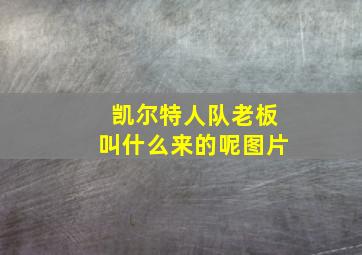 凯尔特人队老板叫什么来的呢图片