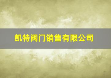 凯特阀门销售有限公司