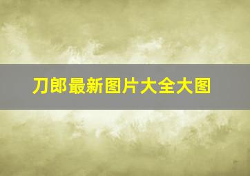 刀郎最新图片大全大图