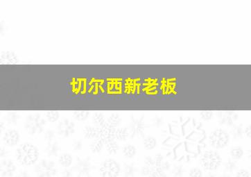 切尔西新老板