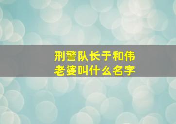 刑警队长于和伟老婆叫什么名字