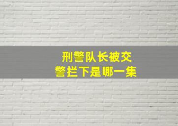 刑警队长被交警拦下是哪一集