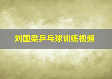 刘国梁乒乓球训练视频