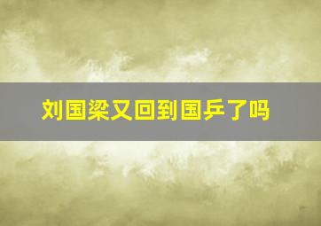 刘国梁又回到国乒了吗