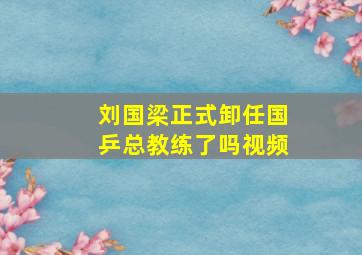 刘国梁正式卸任国乒总教练了吗视频