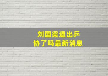 刘国梁退出乒协了吗最新消息