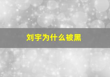 刘宇为什么被黑