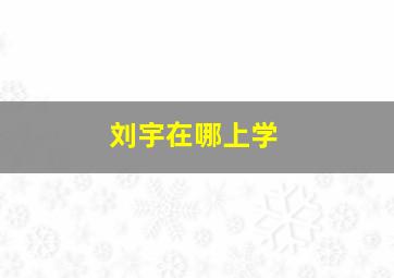 刘宇在哪上学