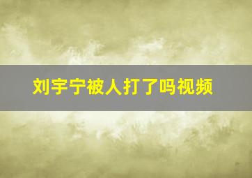 刘宇宁被人打了吗视频