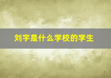 刘宇是什么学校的学生