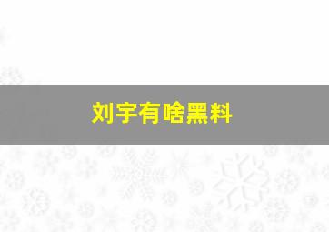 刘宇有啥黑料