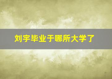 刘宇毕业于哪所大学了