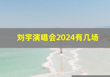 刘宇演唱会2024有几场