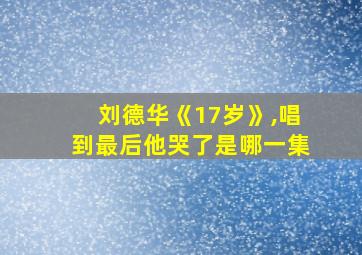 刘德华《17岁》,唱到最后他哭了是哪一集