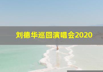 刘德华巡回演唱会2020