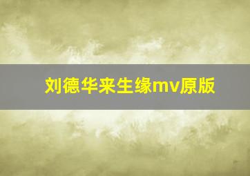 刘德华来生缘mv原版