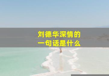 刘德华深情的一句话是什么