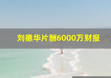 刘德华片酬6000万财报