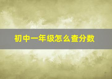 初中一年级怎么查分数