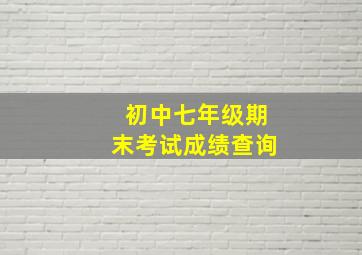 初中七年级期末考试成绩查询