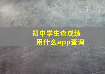 初中学生查成绩用什么app查询