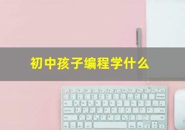 初中孩子编程学什么