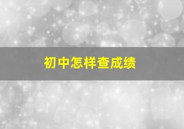 初中怎样查成绩