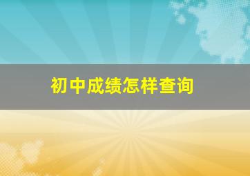 初中成绩怎样查询