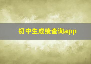 初中生成绩查询app