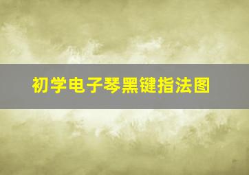 初学电子琴黑键指法图