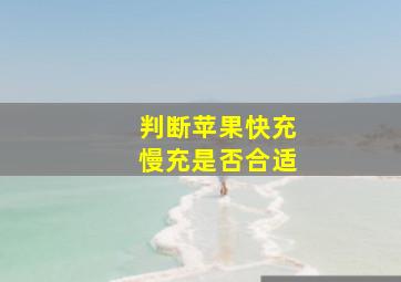 判断苹果快充慢充是否合适