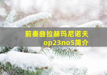 前奏曲拉赫玛尼诺夫op23no5简介