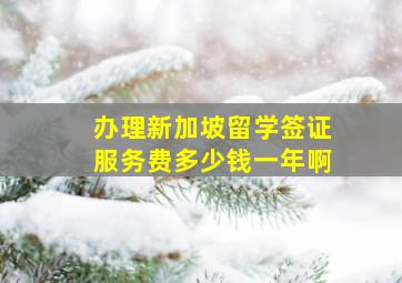 办理新加坡留学签证服务费多少钱一年啊