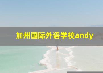 加州国际外语学校andy