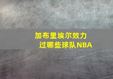 加布里埃尔效力过哪些球队NBA