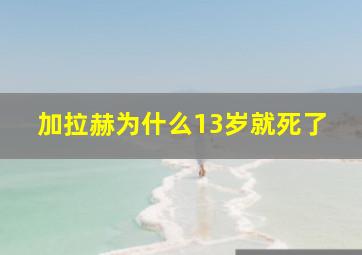 加拉赫为什么13岁就死了