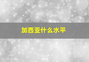 加西亚什么水平