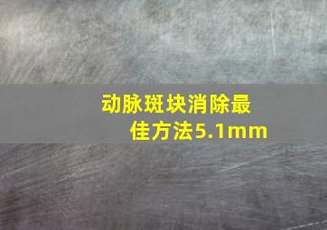 动脉斑块消除最佳方法5.1mm