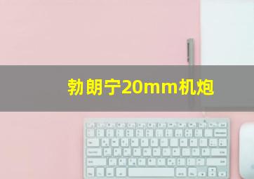 勃朗宁20mm机炮