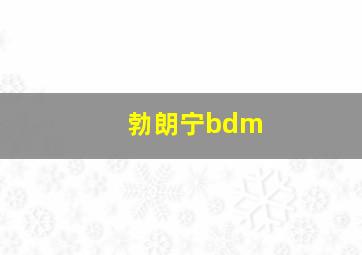 勃朗宁bdm