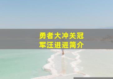 勇者大冲关冠军汪进进简介