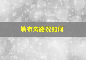 勒布沟路况如何