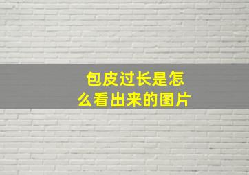 包皮过长是怎么看出来的图片