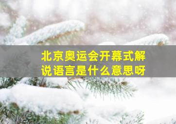 北京奥运会开幕式解说语言是什么意思呀