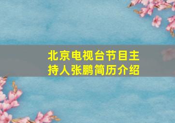 北京电视台节目主持人张鹏简历介绍