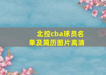 北控cba球员名单及简历图片高清