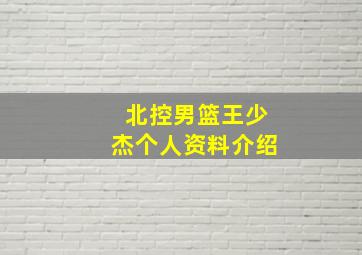 北控男篮王少杰个人资料介绍