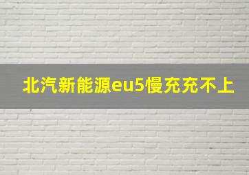 北汽新能源eu5慢充充不上