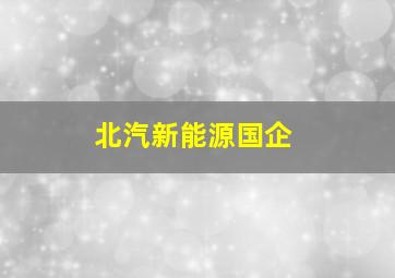 北汽新能源国企